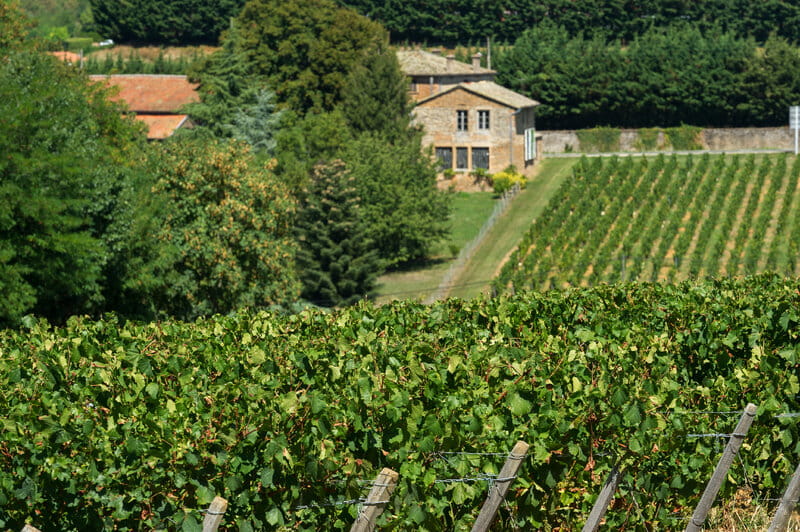 Château Tour de l'Ange