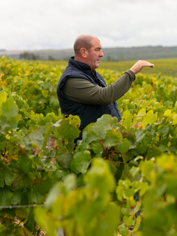 Domaine Michaut